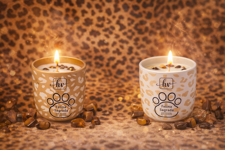 🐆 Colección Felina