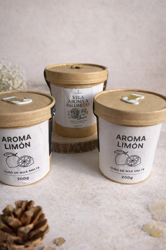 🕯️ Cubo de Wax Melts Artesanales – 200 g
